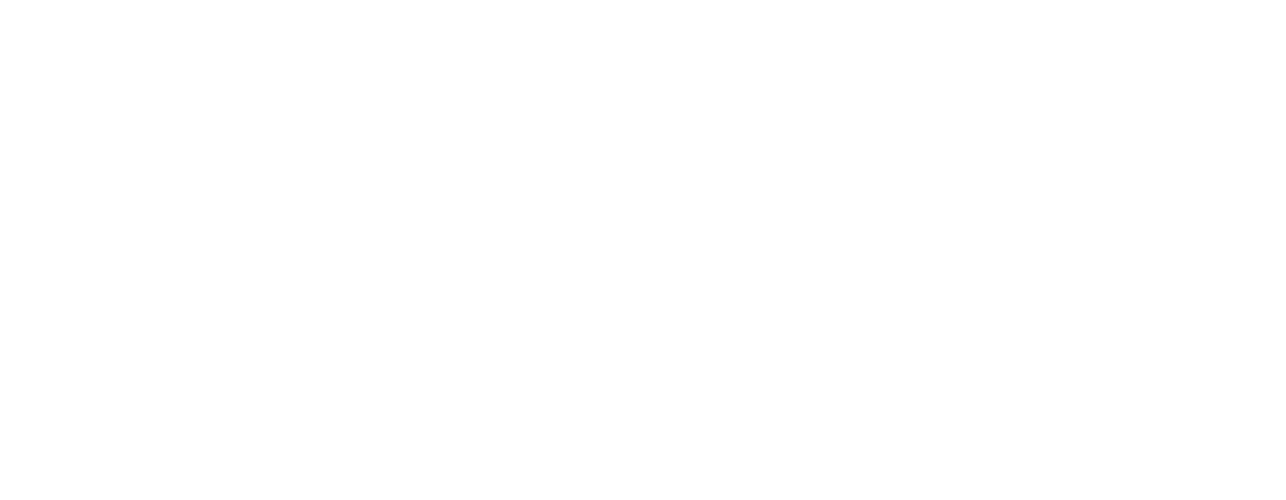 Noir Logo
